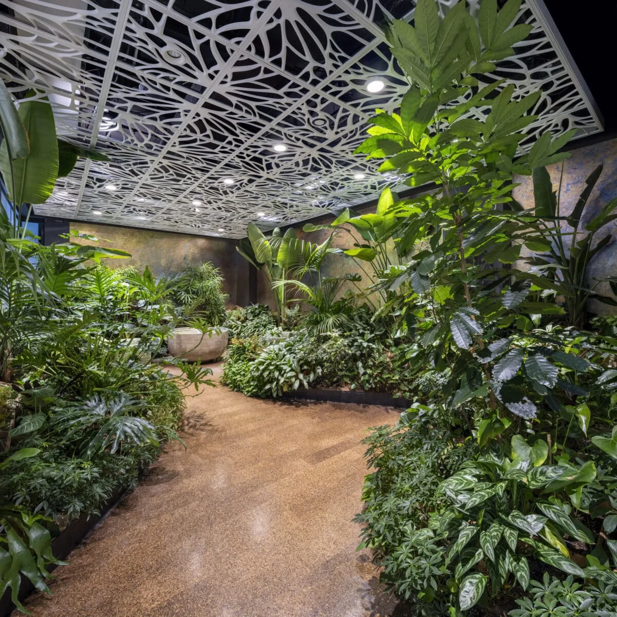 Nature Nook biophilic wellness space at a New York tech office
