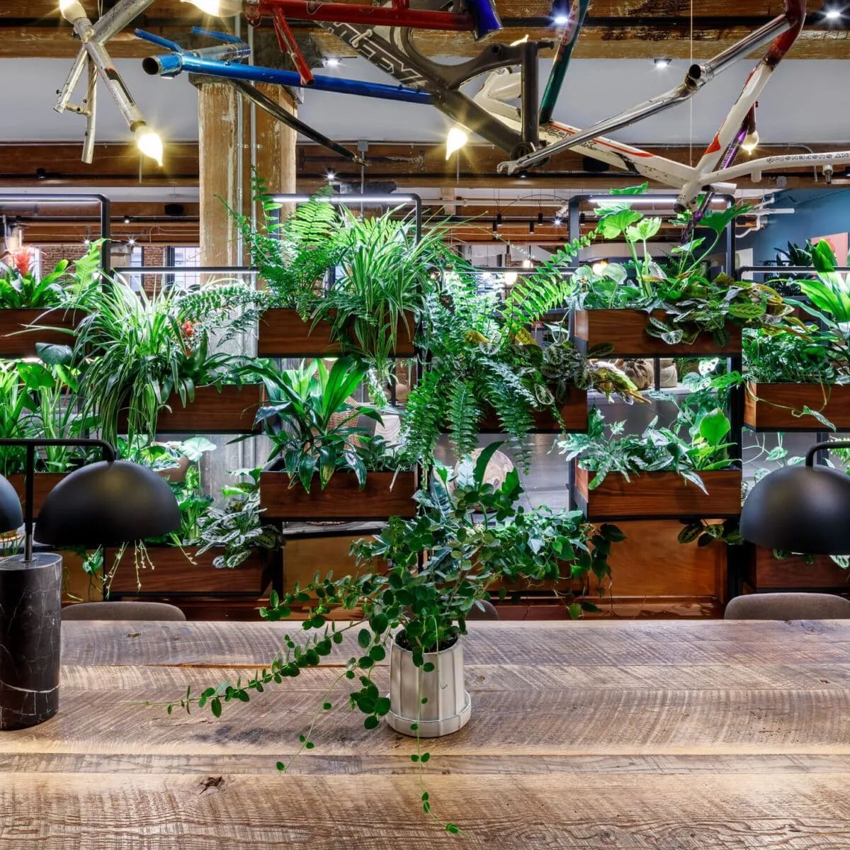 Green Divider installation at Chelsea Market creating a natural workspace divider