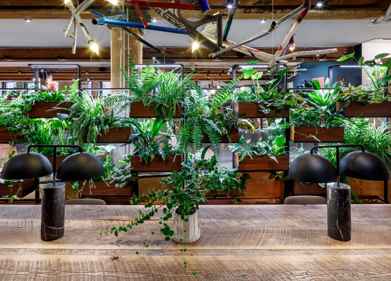 Green Divider installed at Chelsea Market
