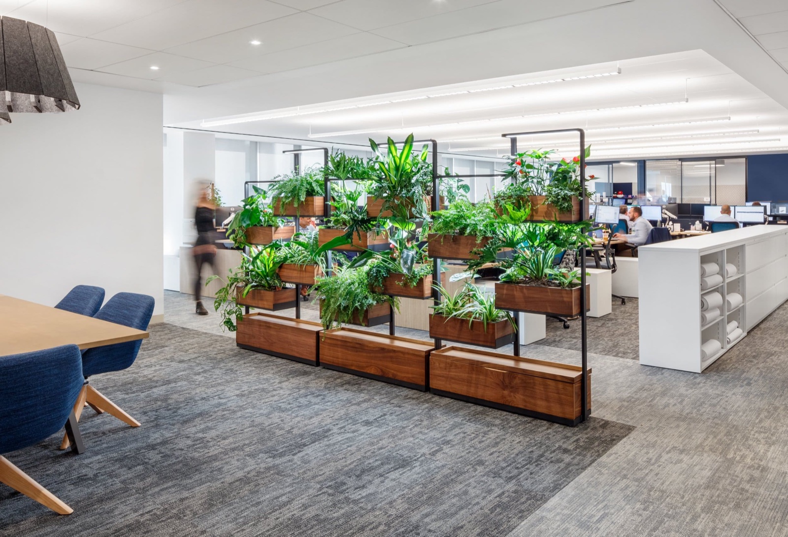 Three Green Dividers dividing an office space in Tribeca, New York