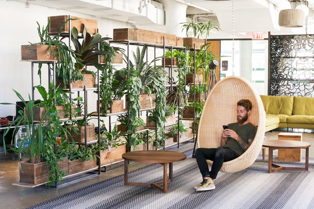 The original Green Divider design at Etsy Headquarters