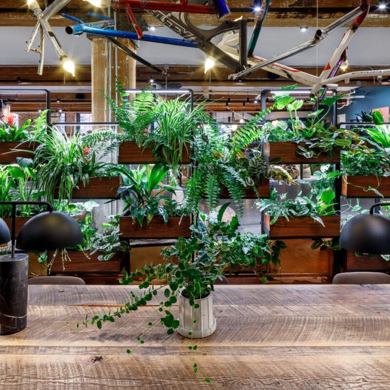 Featured image for “Chelsea Market”